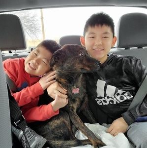 Meet your Posher, Mary